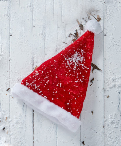 Plush Santa hat