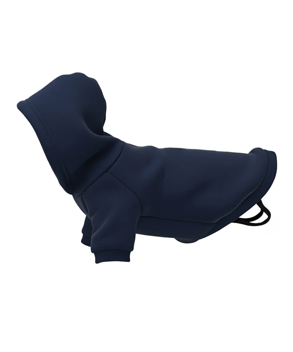 Dog’s hoodie