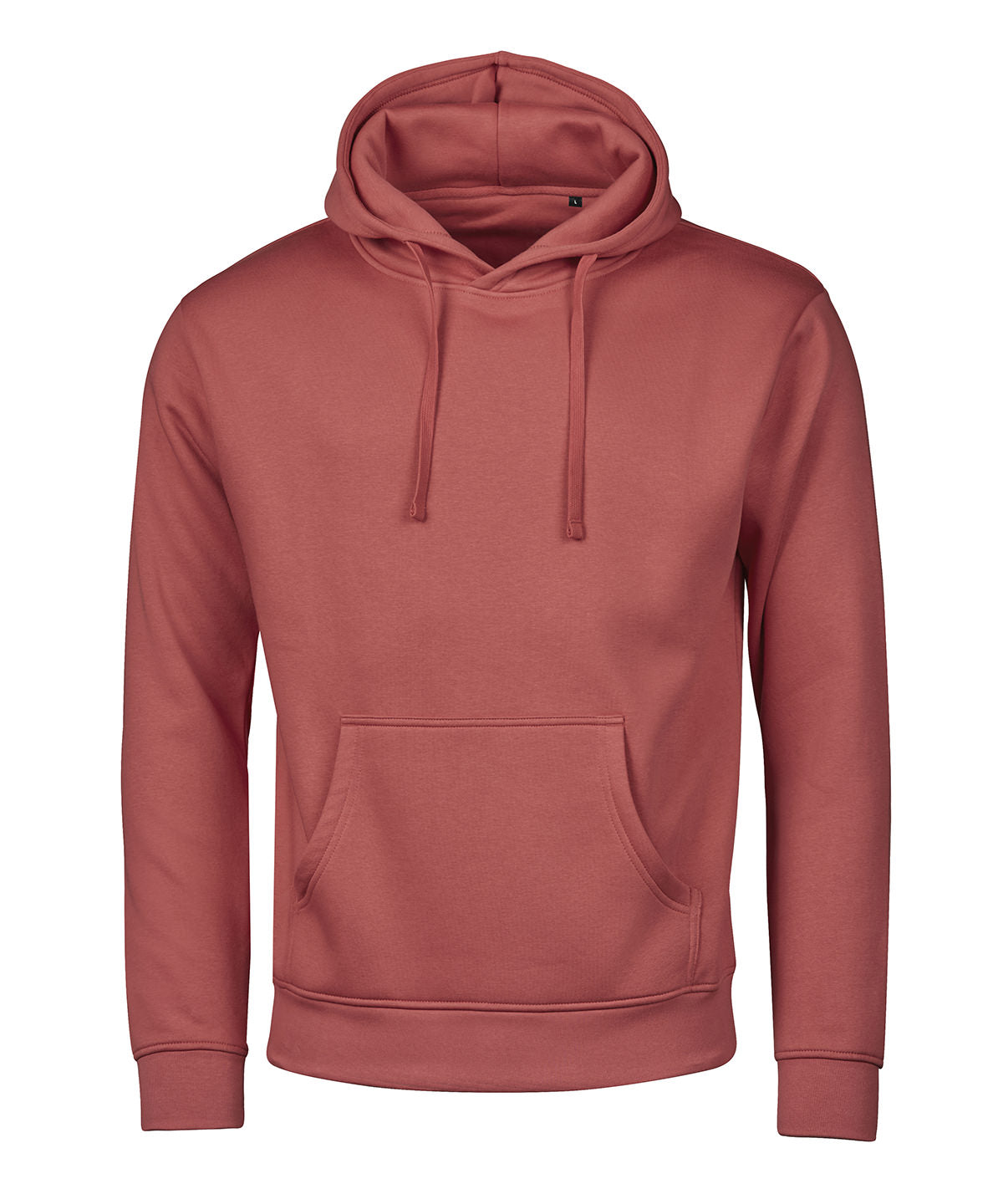 UNLABELED hooded sweatshirt (5152)